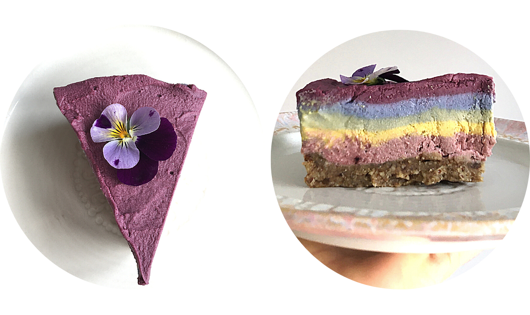 Vegan Rainbow Cheesecake WELLNESS LAB  RECIPE