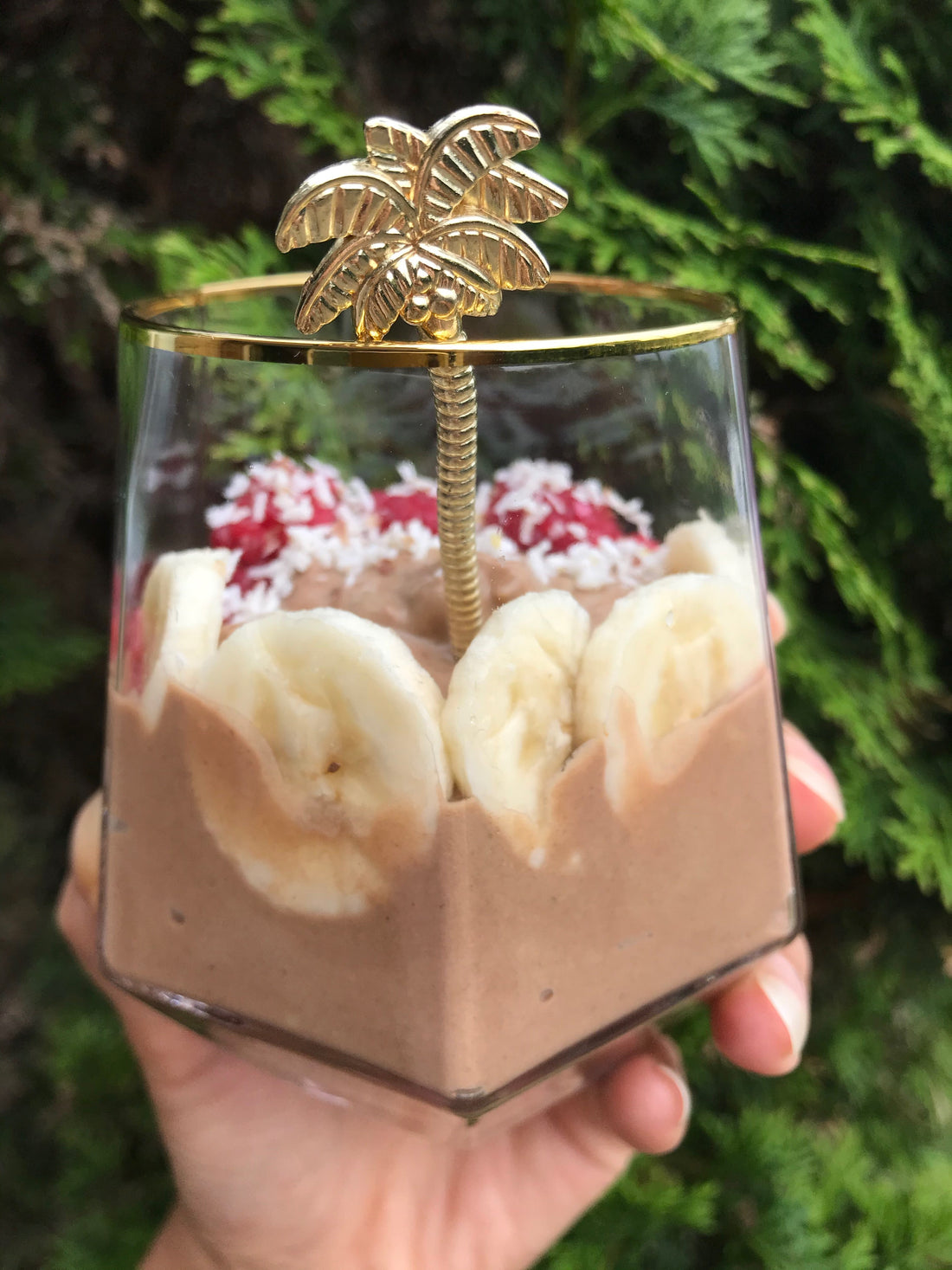 Banana & Avocado Chocolate Mousse!