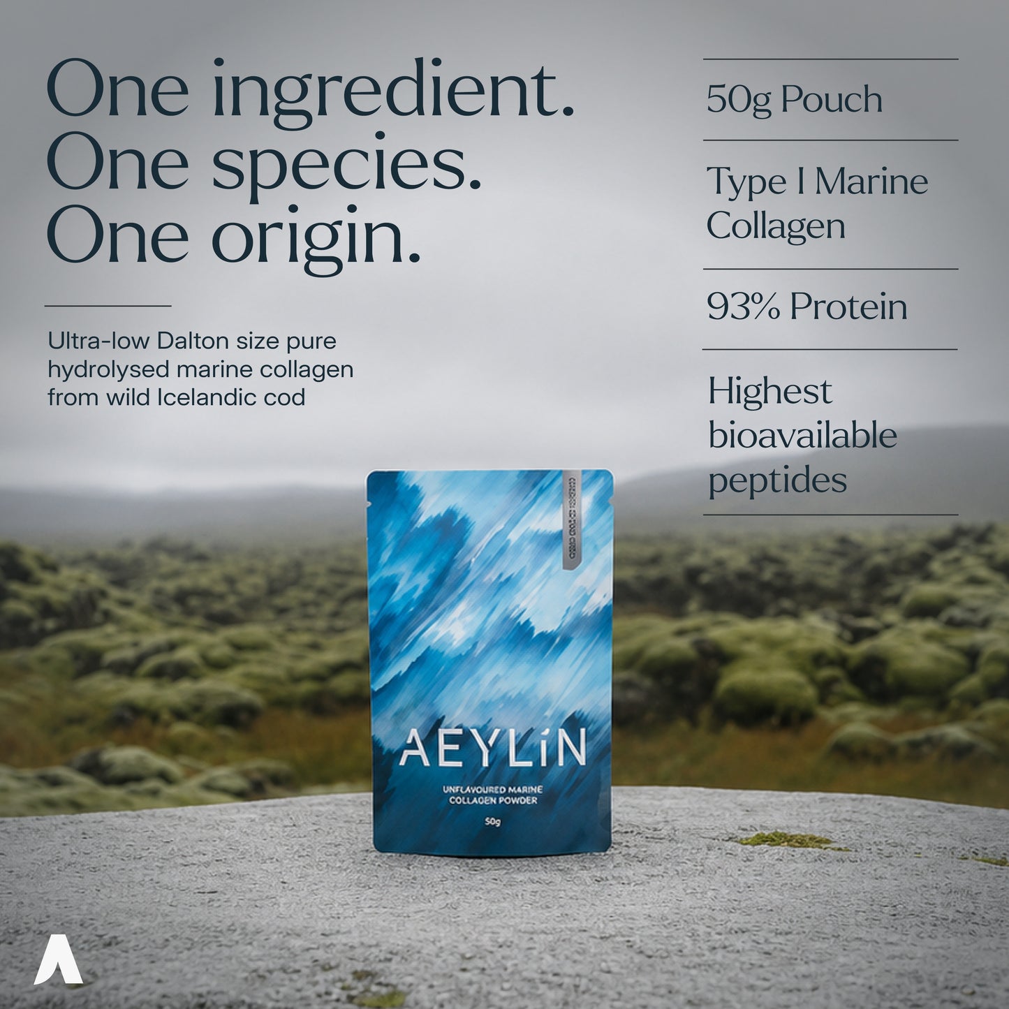 Poudre de collagène marin AEYLÍN — Morue sauvage d'Islande, 50 g