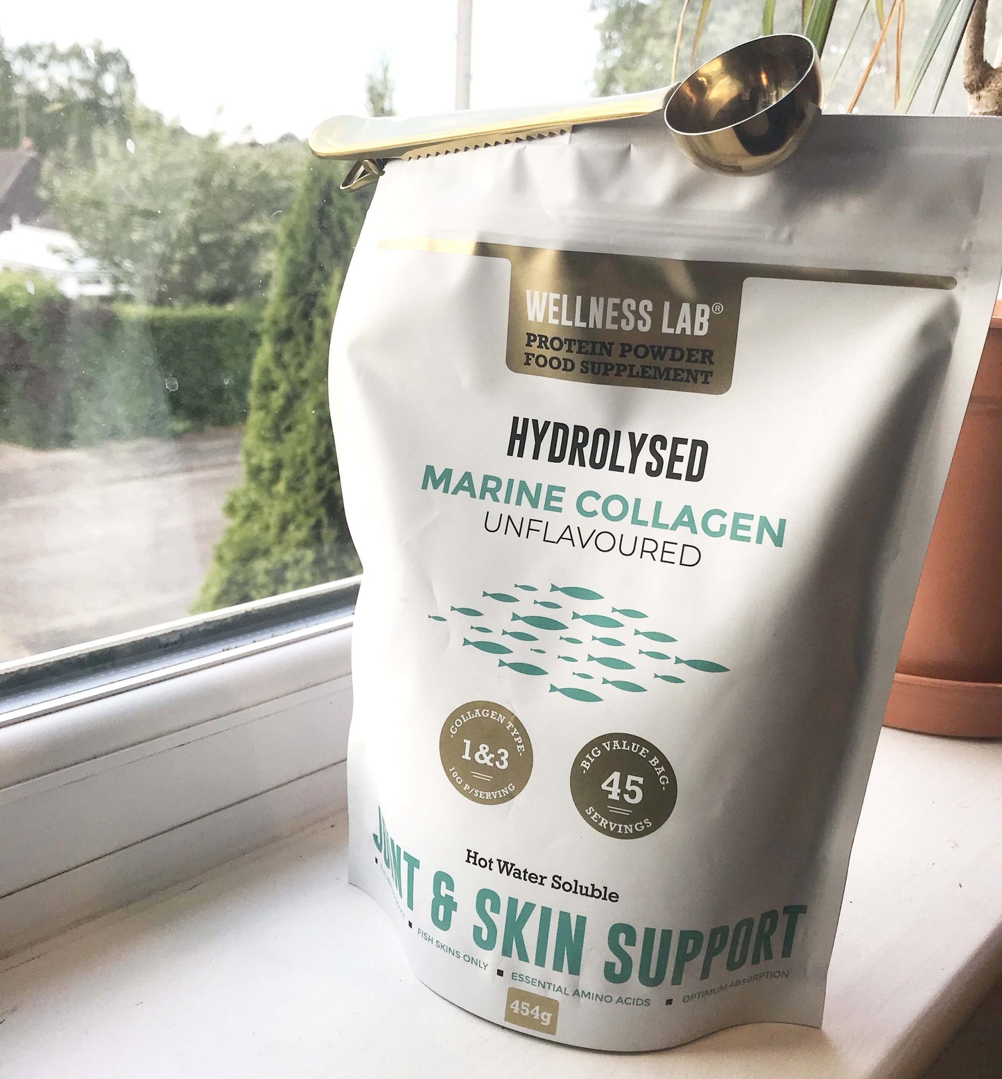 3x POUCH Marine Collagen Powder - Wellness Lab®